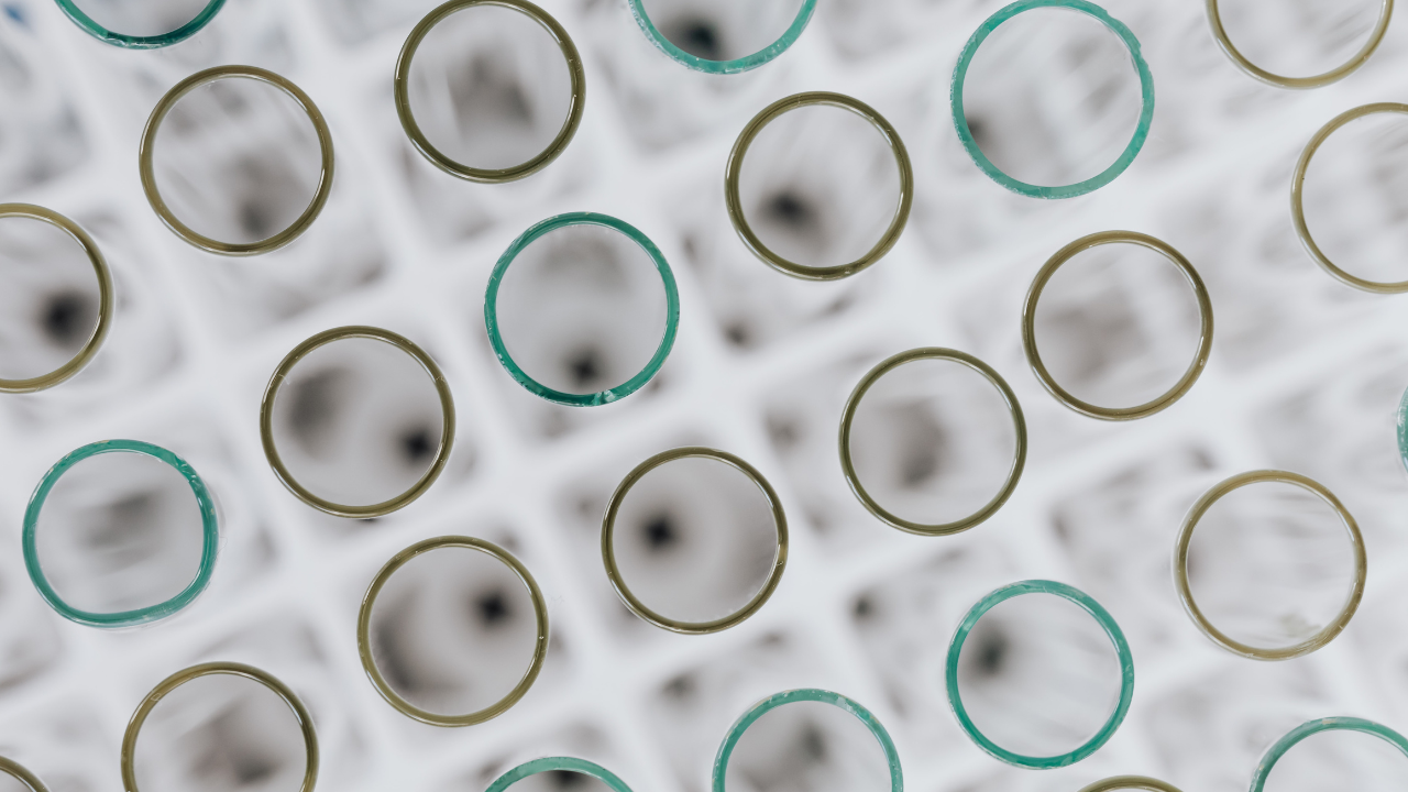 Humectants in Hair Care: What Actually Hydrates Hair