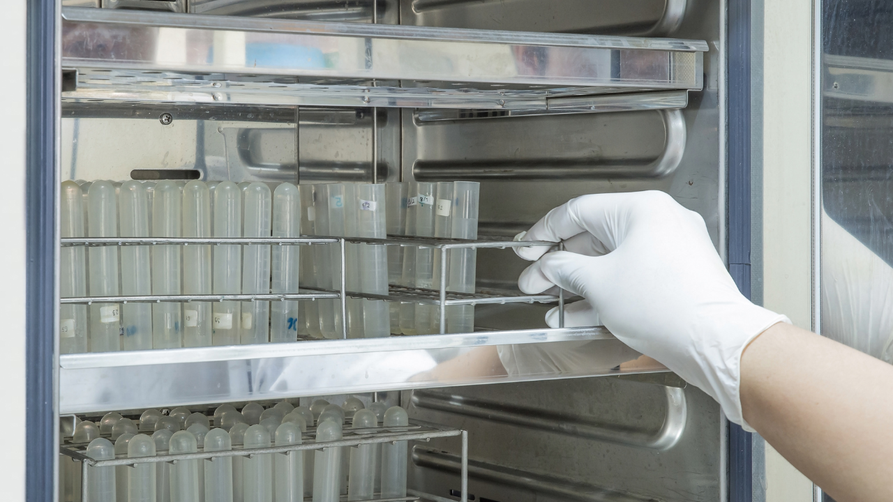 Clean Beauty Expectations in Professional Settings