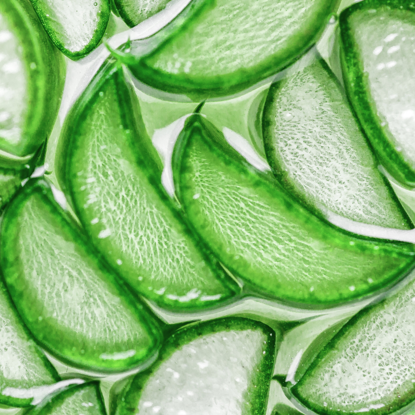 Aloe vera slices suspended in water