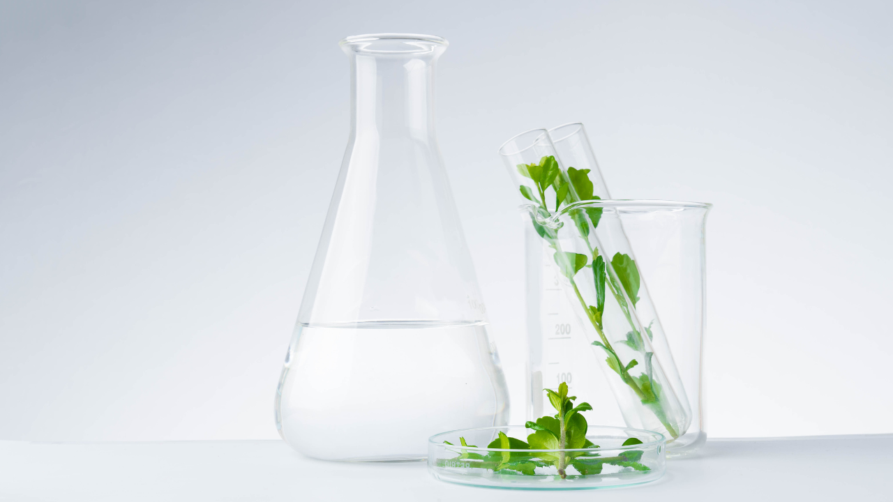 Antioxidant Support Skin Care