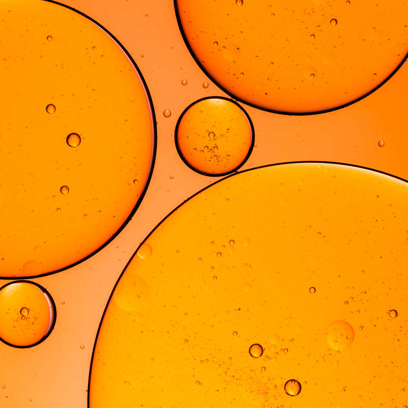 Rice Bran Oil Skin Care