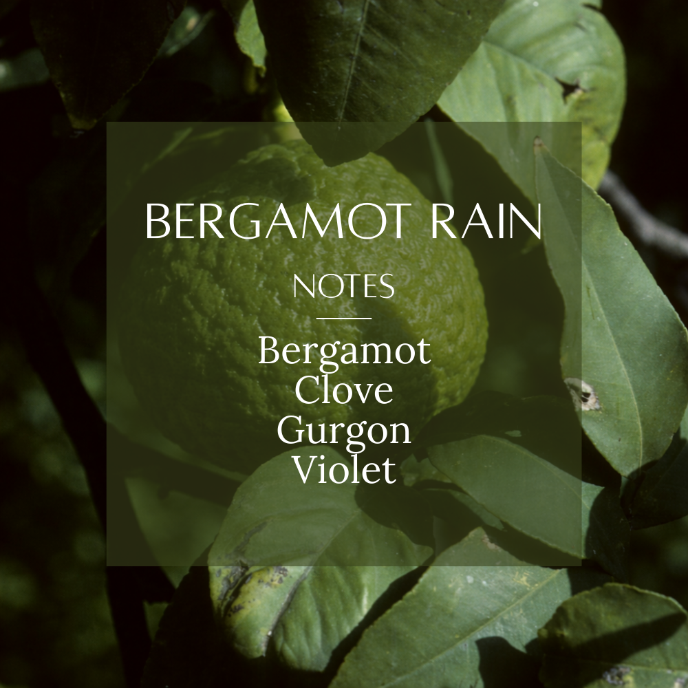 Earthy Aromas Fragrance Bundle