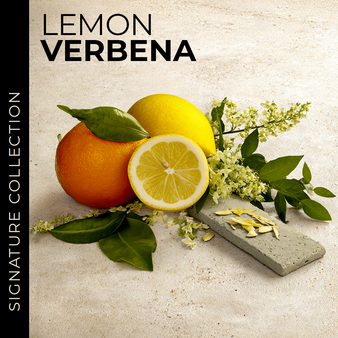 Signature Fragrance Oils Sample Bundle - 10 Samples
