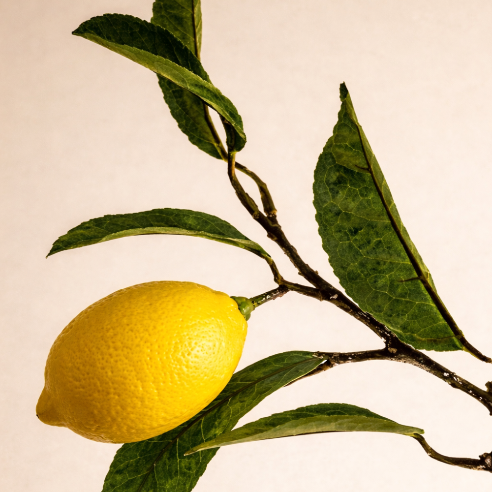 Lemon Verbena | Premium Fragrance Oil for Wholesale Skincare