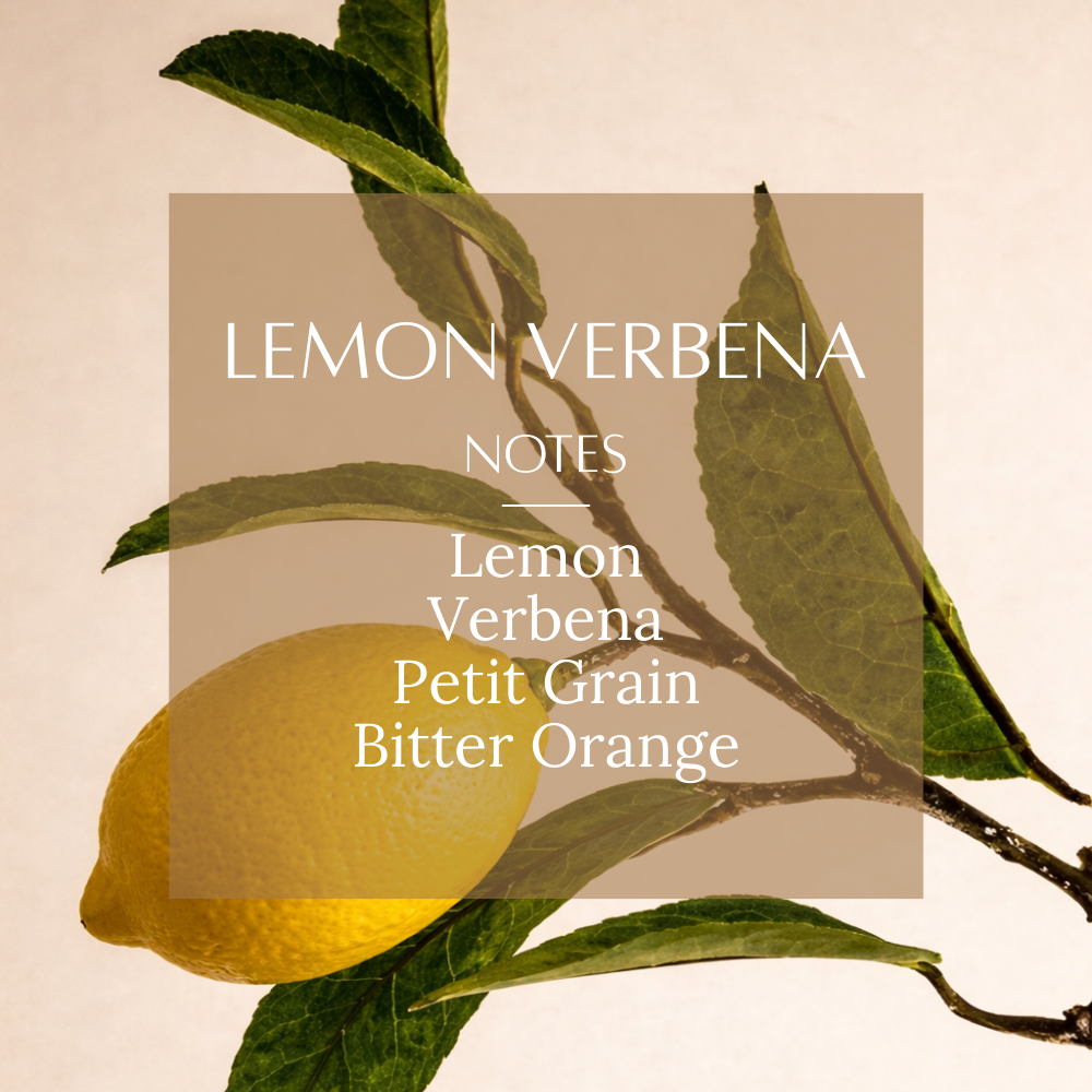 Fresh & Citrus Fragrance Bundle