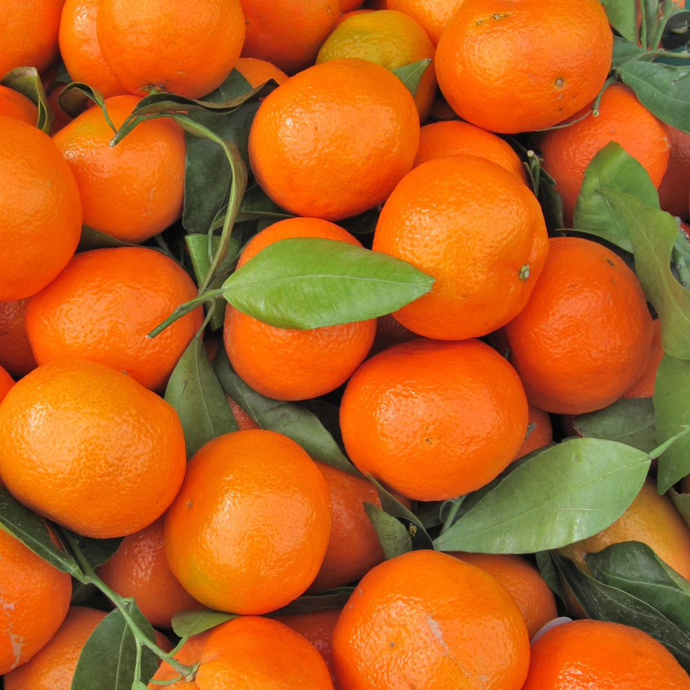 Sweet Orange Essential Oil