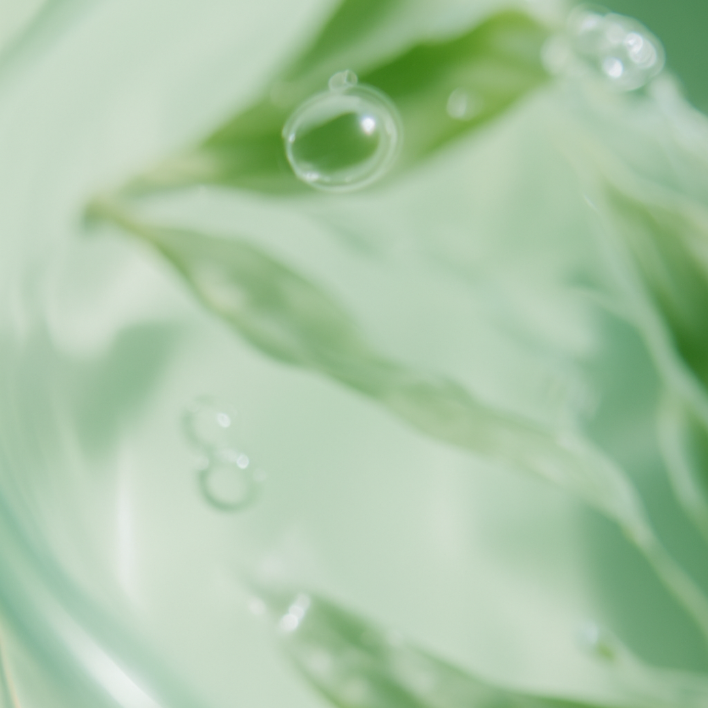 Green Tea Extract Skin Care