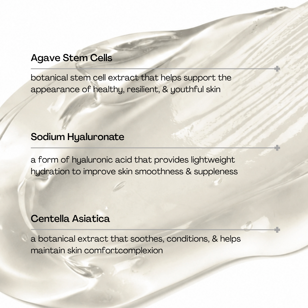 Agave Stem Cell Hydro Gel