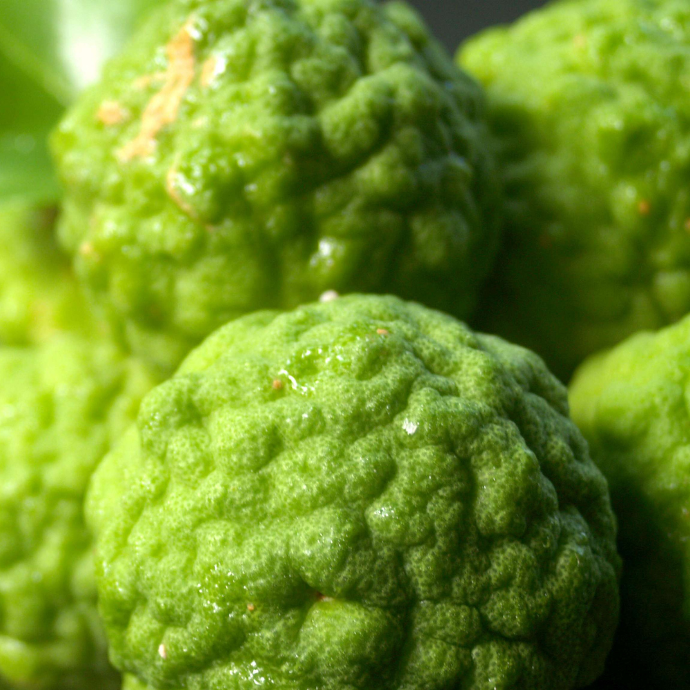 Bergamot Essential Oil