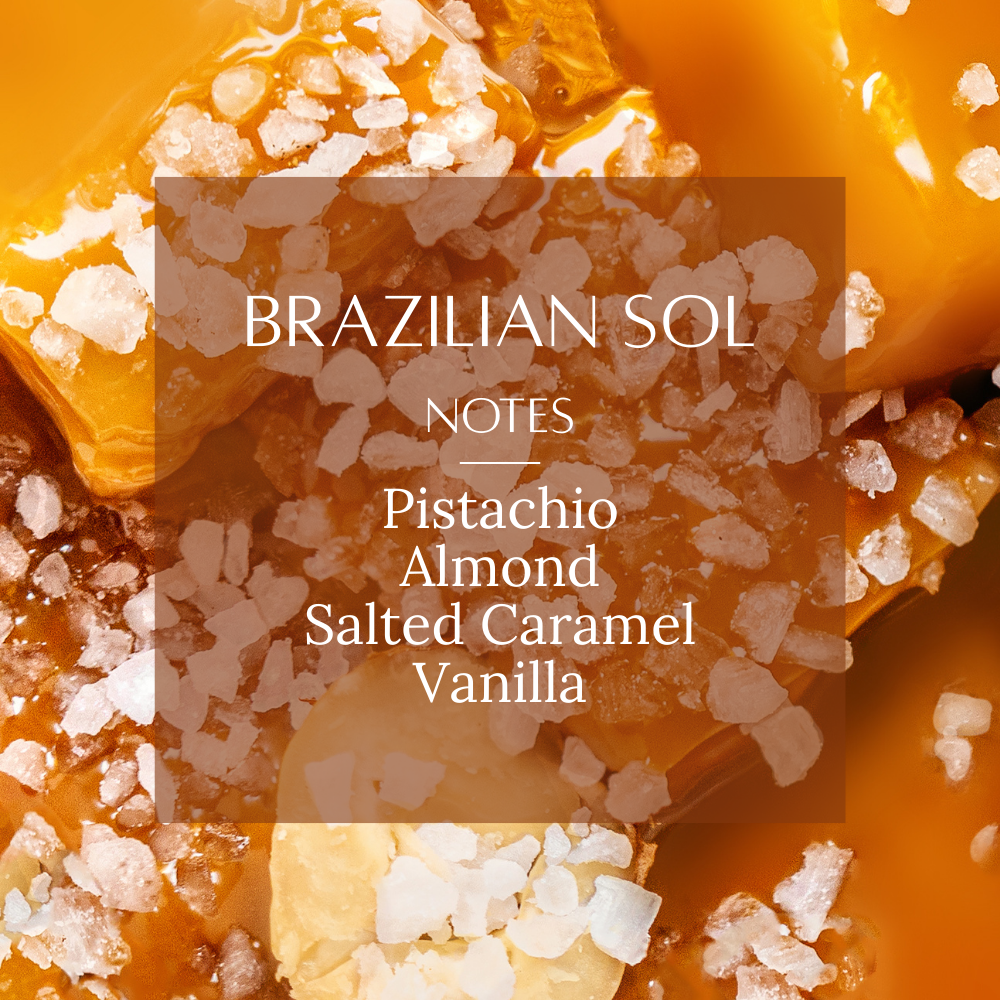 Rich & Warm Fragrance Bundle