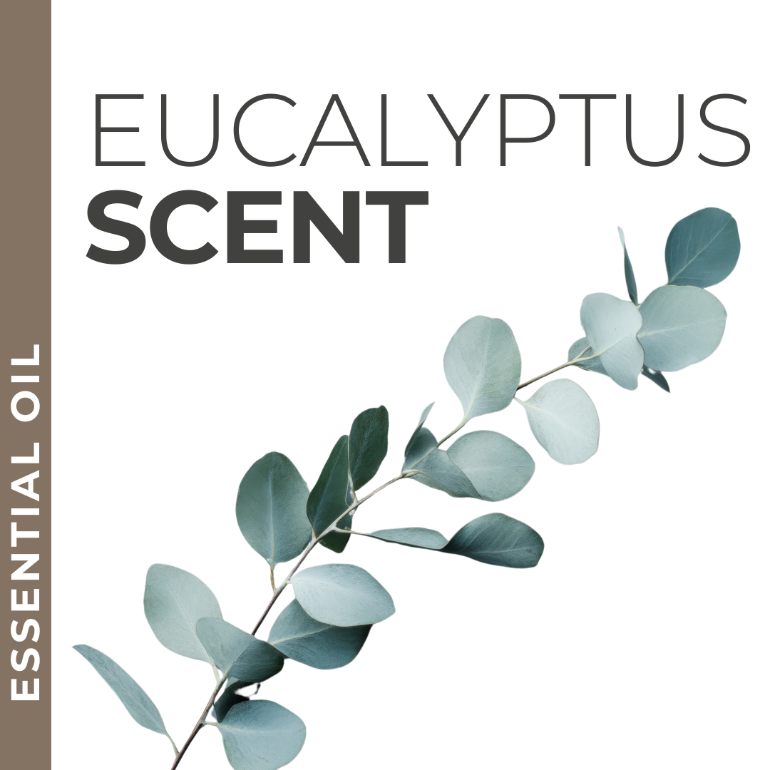 Eucalyptus Essential Oil