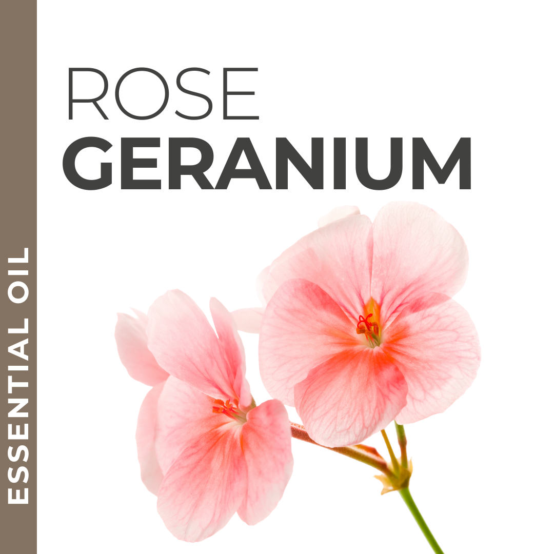 Rose Geranium Essential Oil