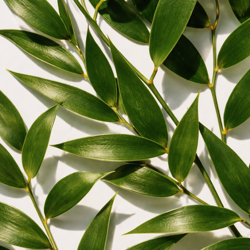 Australian Tea Tree Essential Oil