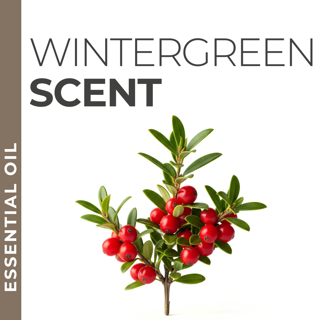 Wintergreen Essential Oil