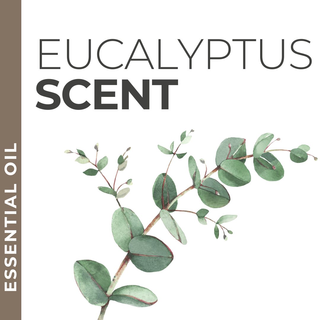Pravada private Label Eucalyptus Essential Oil - Samples