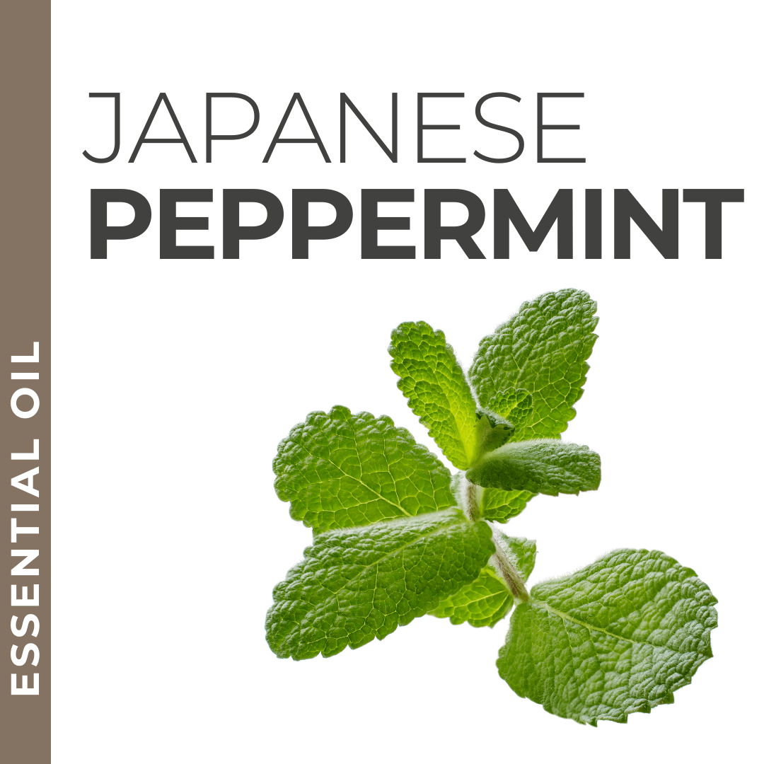 Pravada private Label Japanese Peppermint Essential Oil - Samples