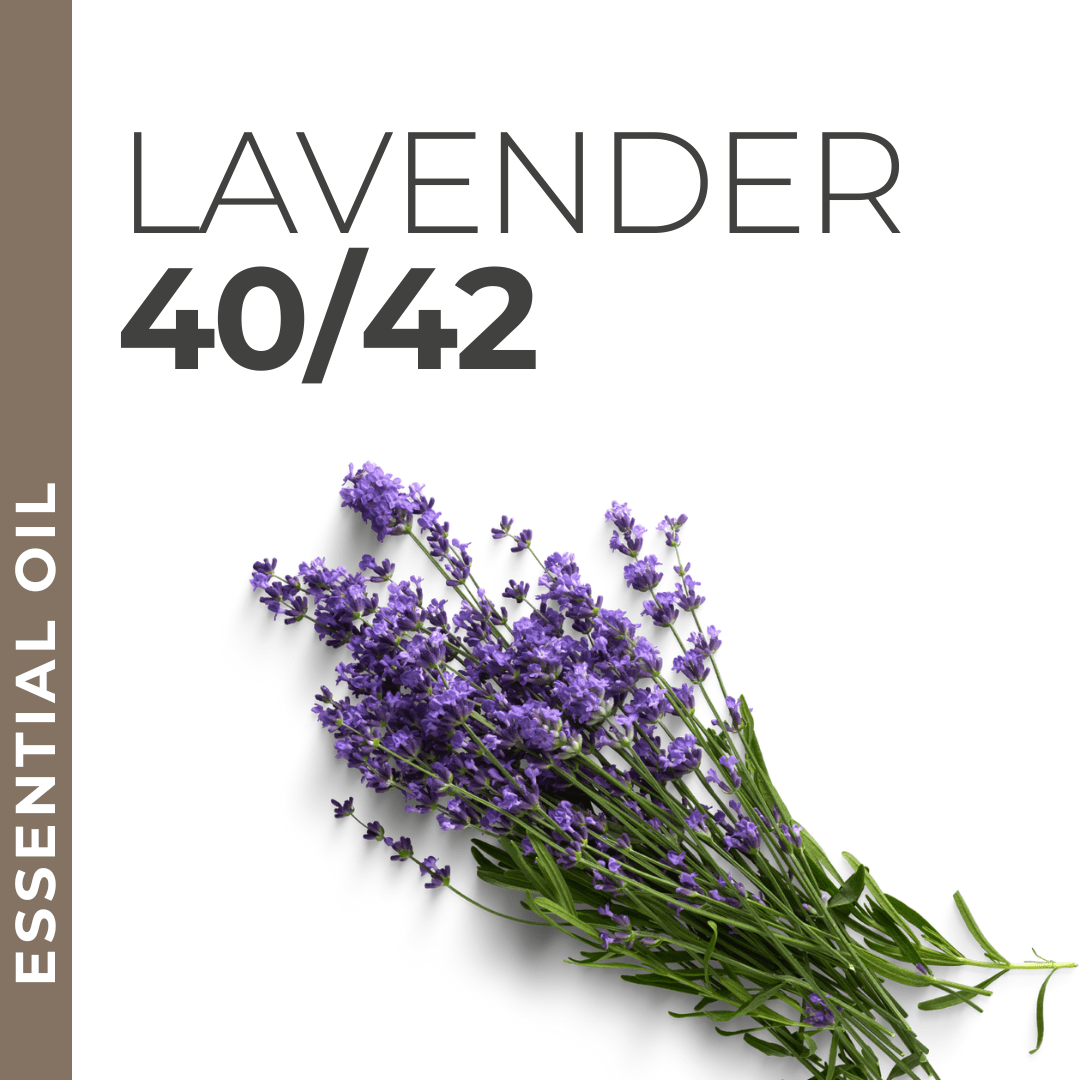 Pravada private Label Lavender 40/42 Essential Oil - Samples