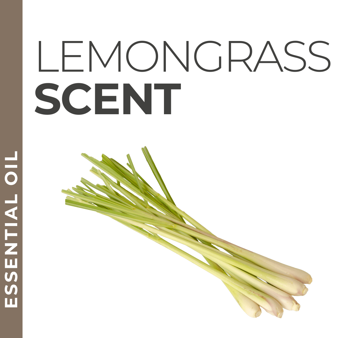 Pravada private Label Lemongrass Essential Oil - Samples