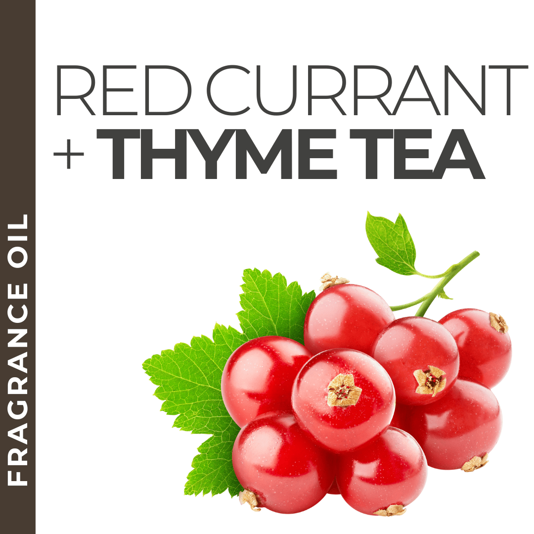 Pravada private Label Red Currant and Thyme Tea - Samples
