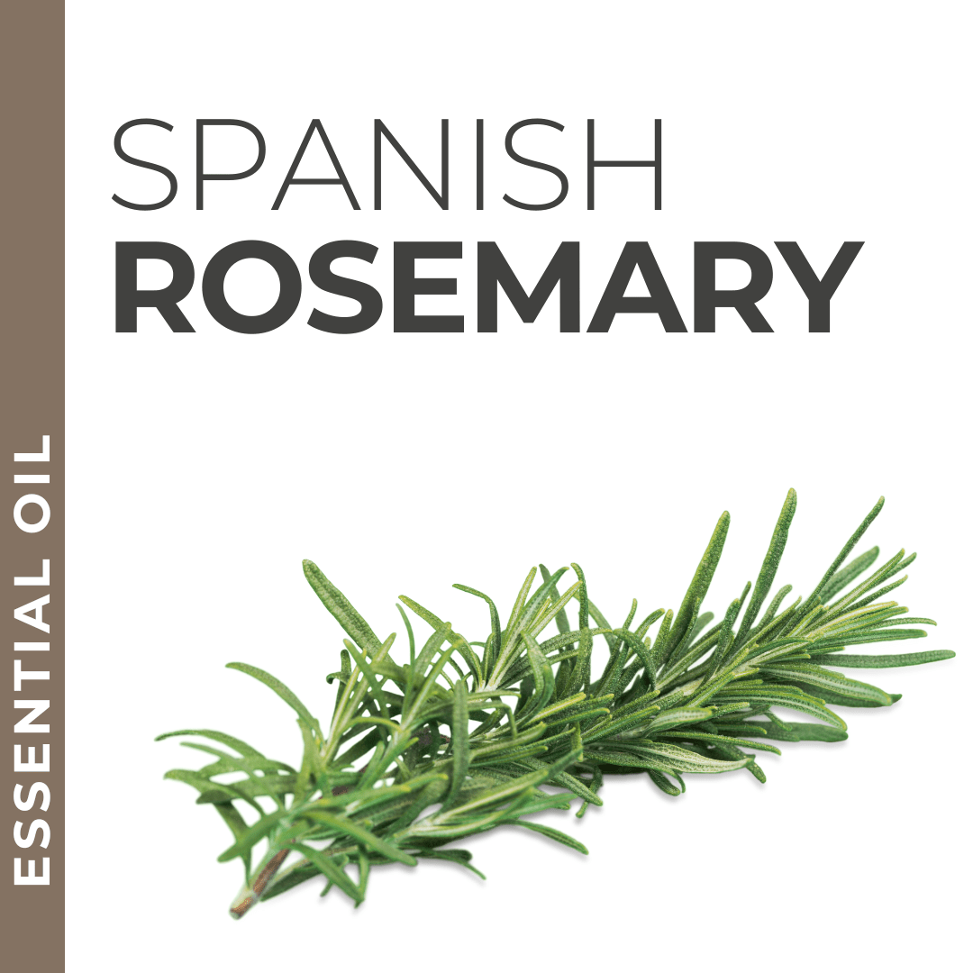 Pravada private Label Spanish Rosemary Essential Oil - Samples