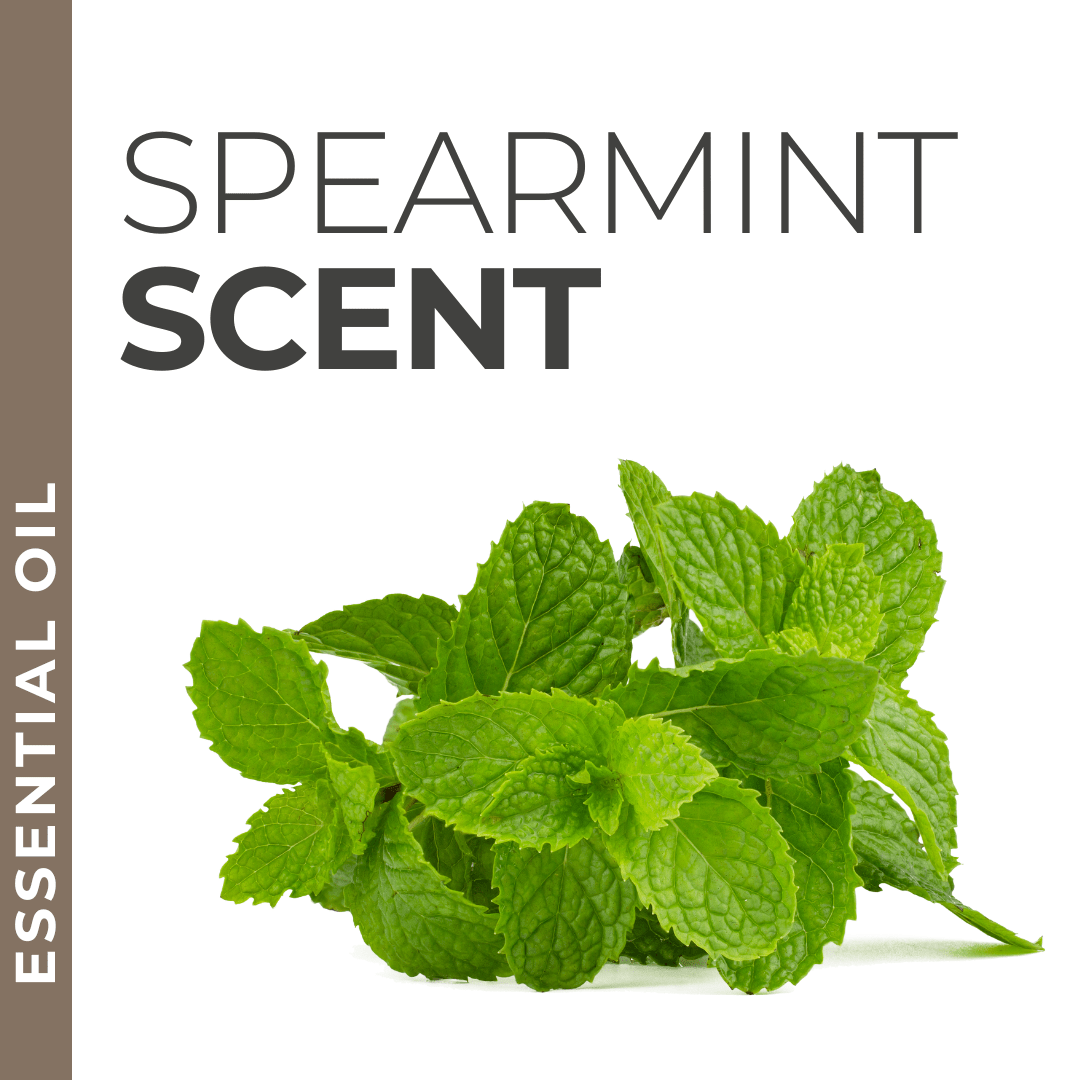 Pravada private Label Spearmint Essential Oil - Samples