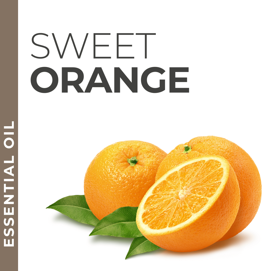 Pravada private Label Sweet Orange Essential Oil - Samples