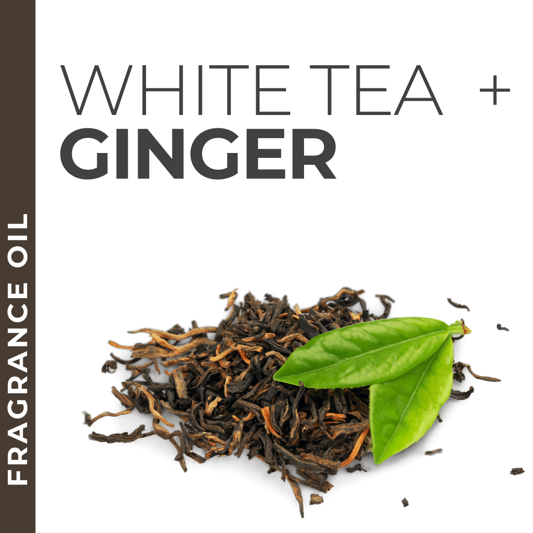 Pravada private Label White Tea and Ginger - Samples