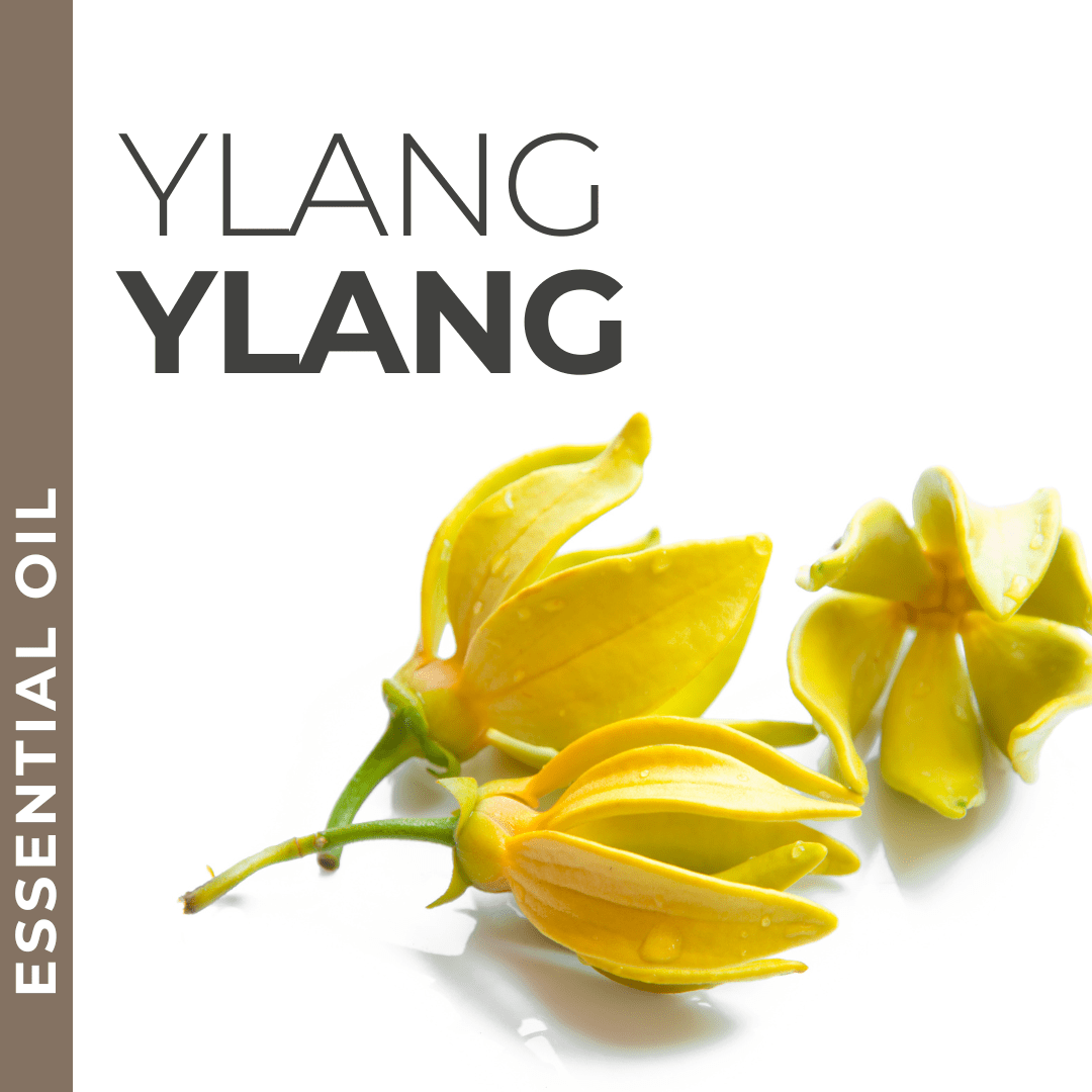Pravada private Label Ylang Ylang Essential Oil - Samples